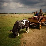 Zabi Raj Farm stay *