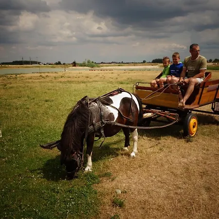 Zabi Raj Gospodarstwo agroturystyczne *