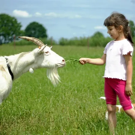Farm stay Zabi Raj Pokrzywnica