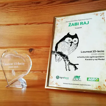 Zabi Raj