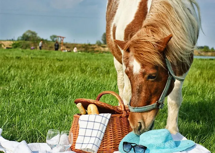 Zabi Raj Farm stay *