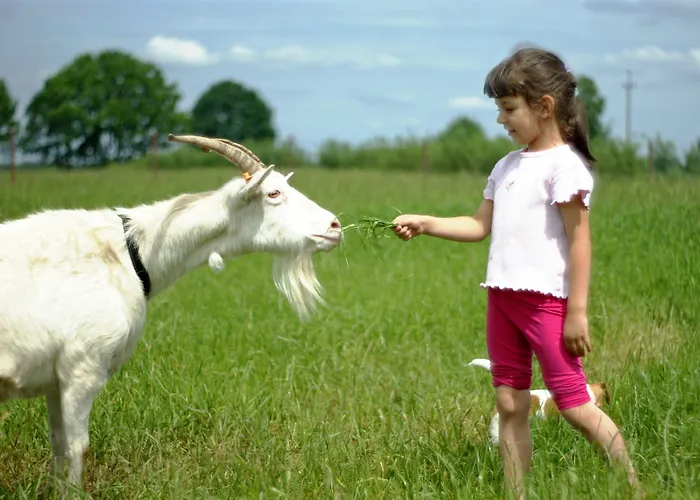 Zabi Raj Pokrzywnica