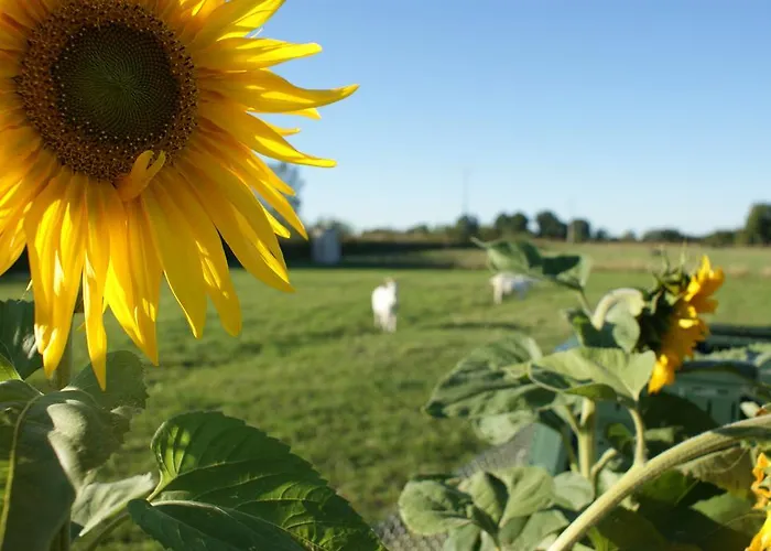 Zabi Raj Farm stay *